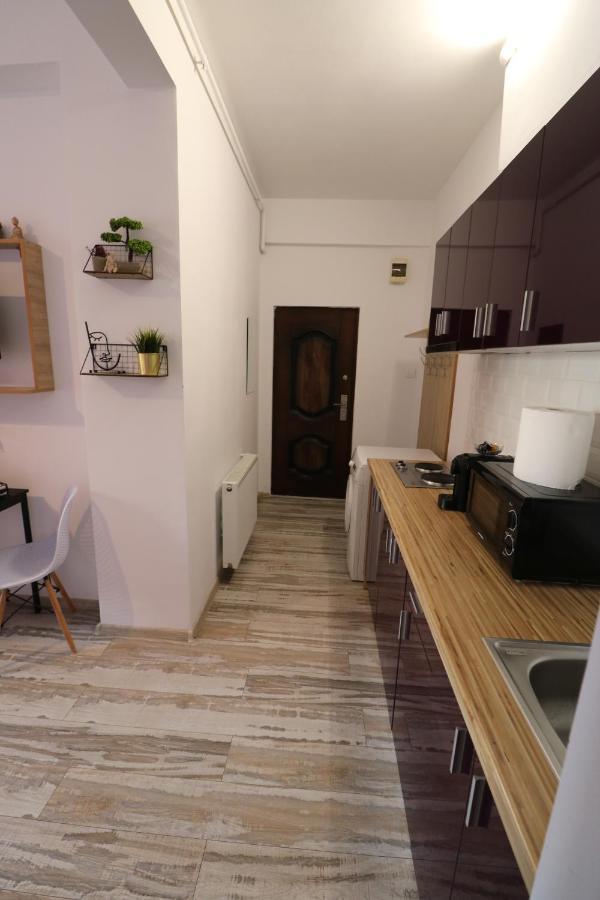 ブカレストCharming Cozy Studio - Old Town - Free Minibarアパートメント エクステリア 写真